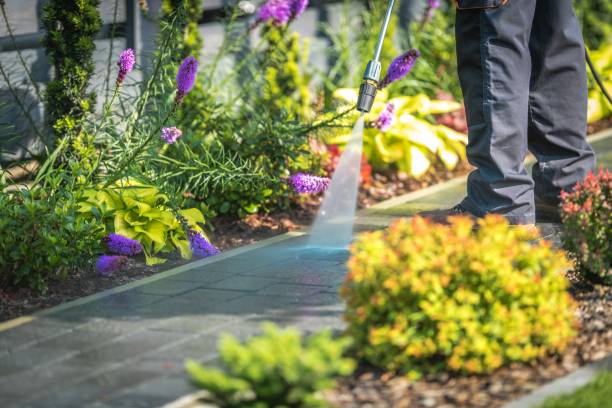 Reliable Wapello, IA Pressure Washing Services Solutions